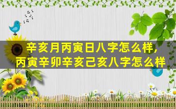 辛亥月丙寅日八字怎么样,丙寅辛卯辛亥己亥八字怎么样