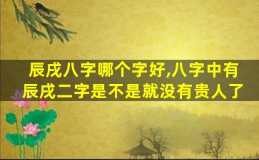 辰戌八字哪个字好,八字中有辰戌二字是不是就没有贵人了