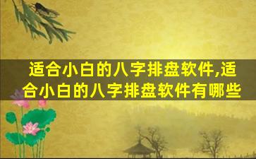 适合小白的八字排盘软件,适合小白的八字排盘软件有哪些