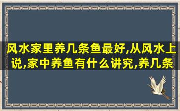 风水家里养几条鱼最好,从风水上说,家中养鱼有什么讲究,养几条鱼比较好