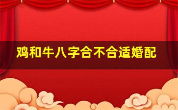 鸡和牛八字合不合适婚配