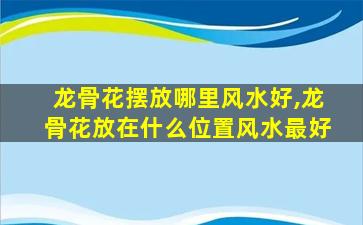 龙骨花摆放哪里风水好,龙骨花放在什么位置风水最好